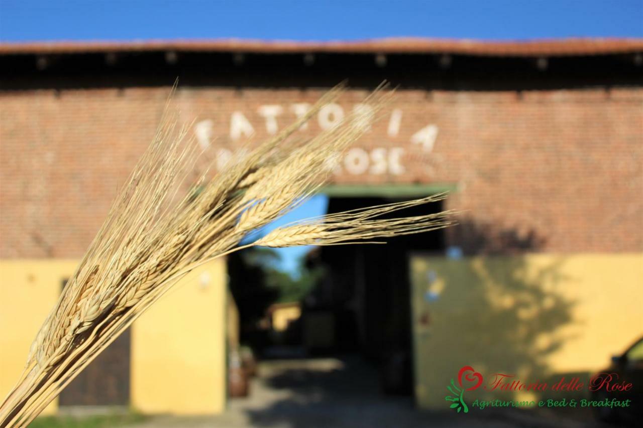 Вилла Fattoria Delle Rose Salussola Экстерьер фото